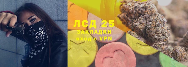 эйфоретик Алзамай