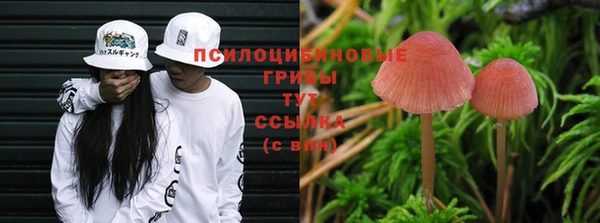 молекула духа Алексин