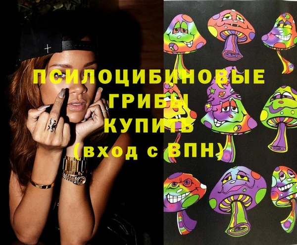 молекула духа Алексин