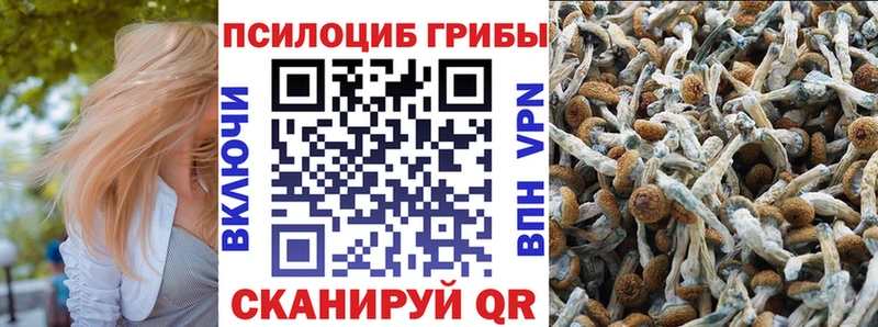 Псилоцибиновые грибы GOLDEN TEACHER Котлас