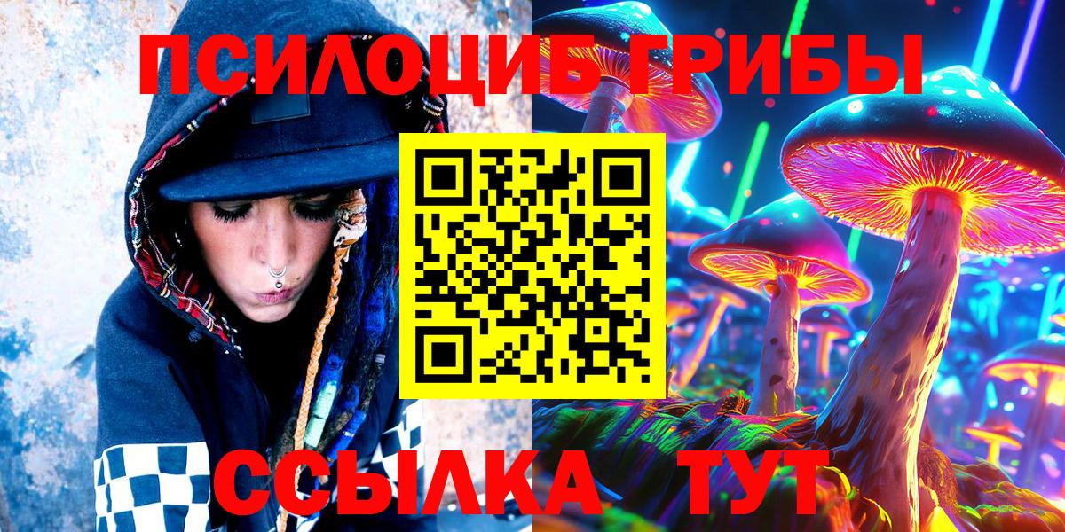Псилоцибиновые грибы Psilocybe Котлас