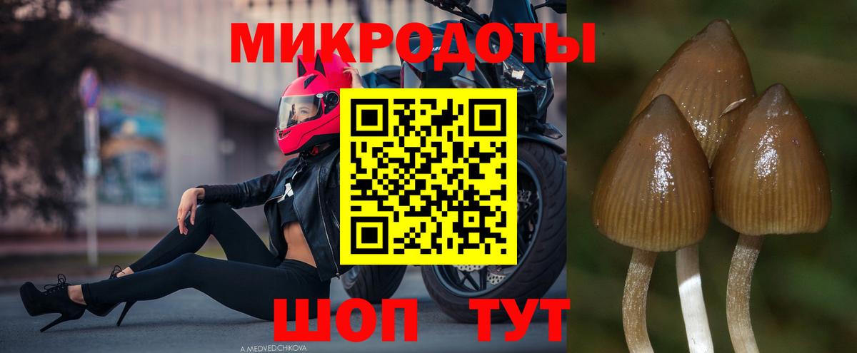 Псилоцибиновые грибы мухоморы  Вход с VPN  Котлас 