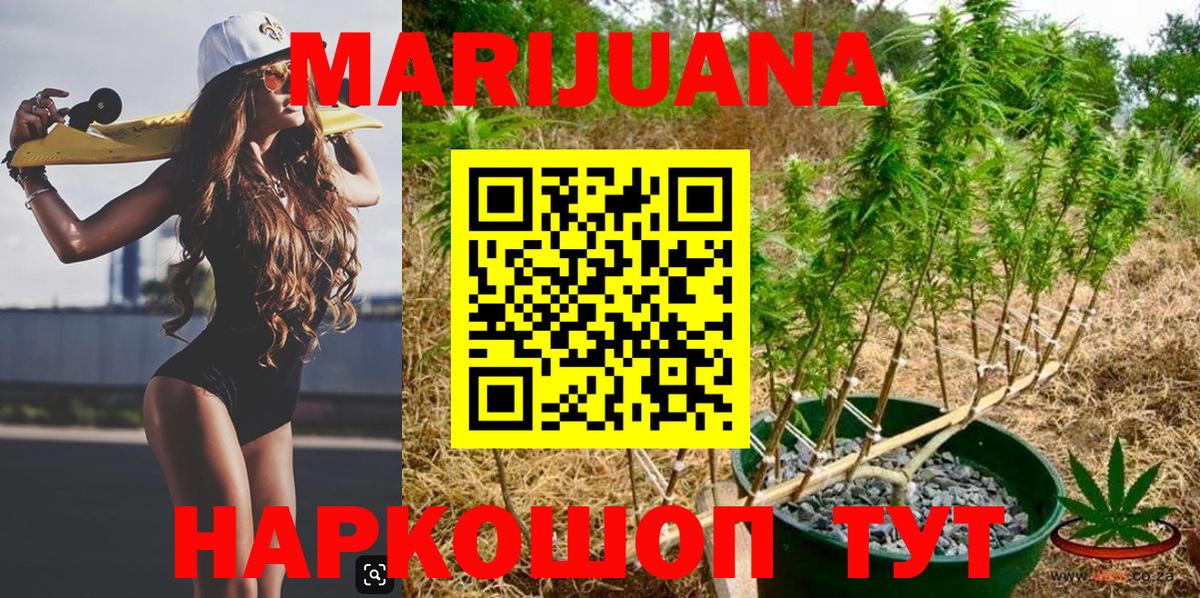 Конопля Bruce Banner  Вход с VPN  Бошки марихуана план  Котлас  Канабис план 